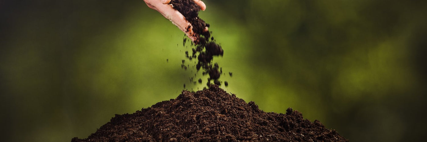 Soils & Mulches